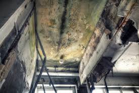 Best Industrial Mold Remediation  in Marlton, MD